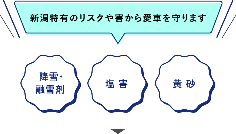 新潟特有のリスクや害から愛車を守ります